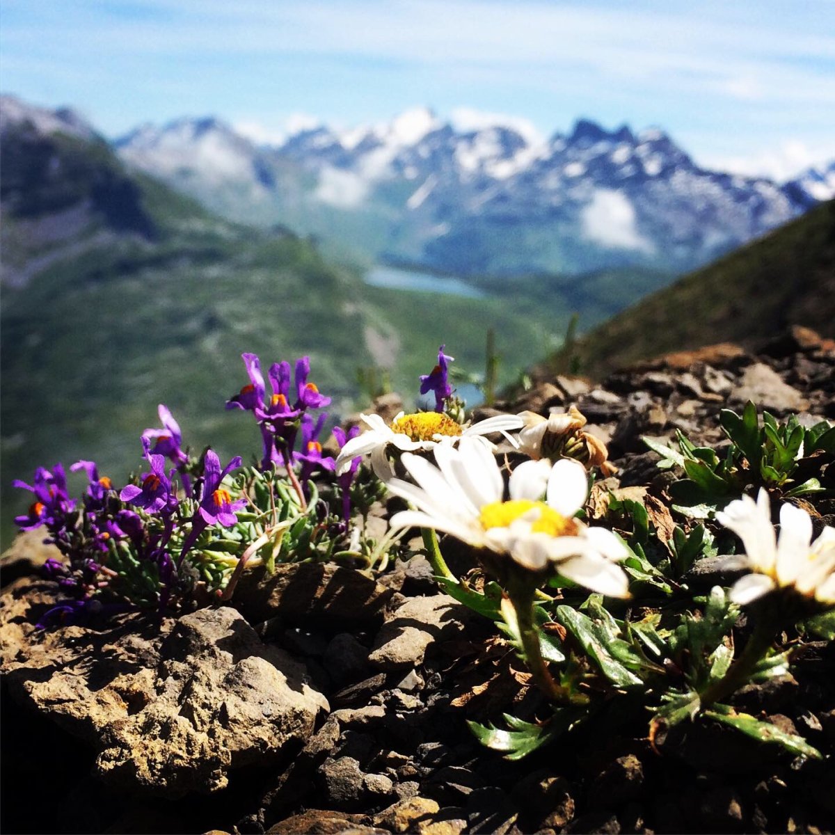 Personal Health Coaching Kreislauf
